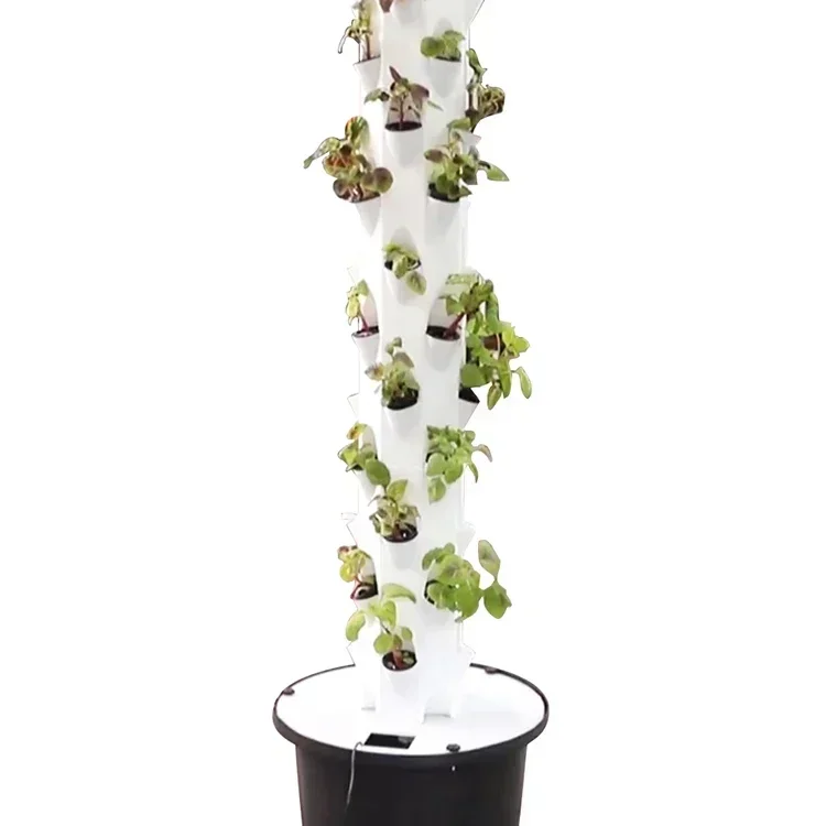 Hydroponic Farming Agriculture - High quality agricultural home garden indoor