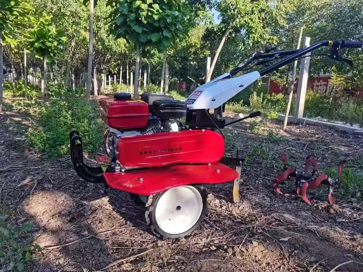 Organic Farming Of Agriculture - Hot Sale Best Tiller Agriculture Farm