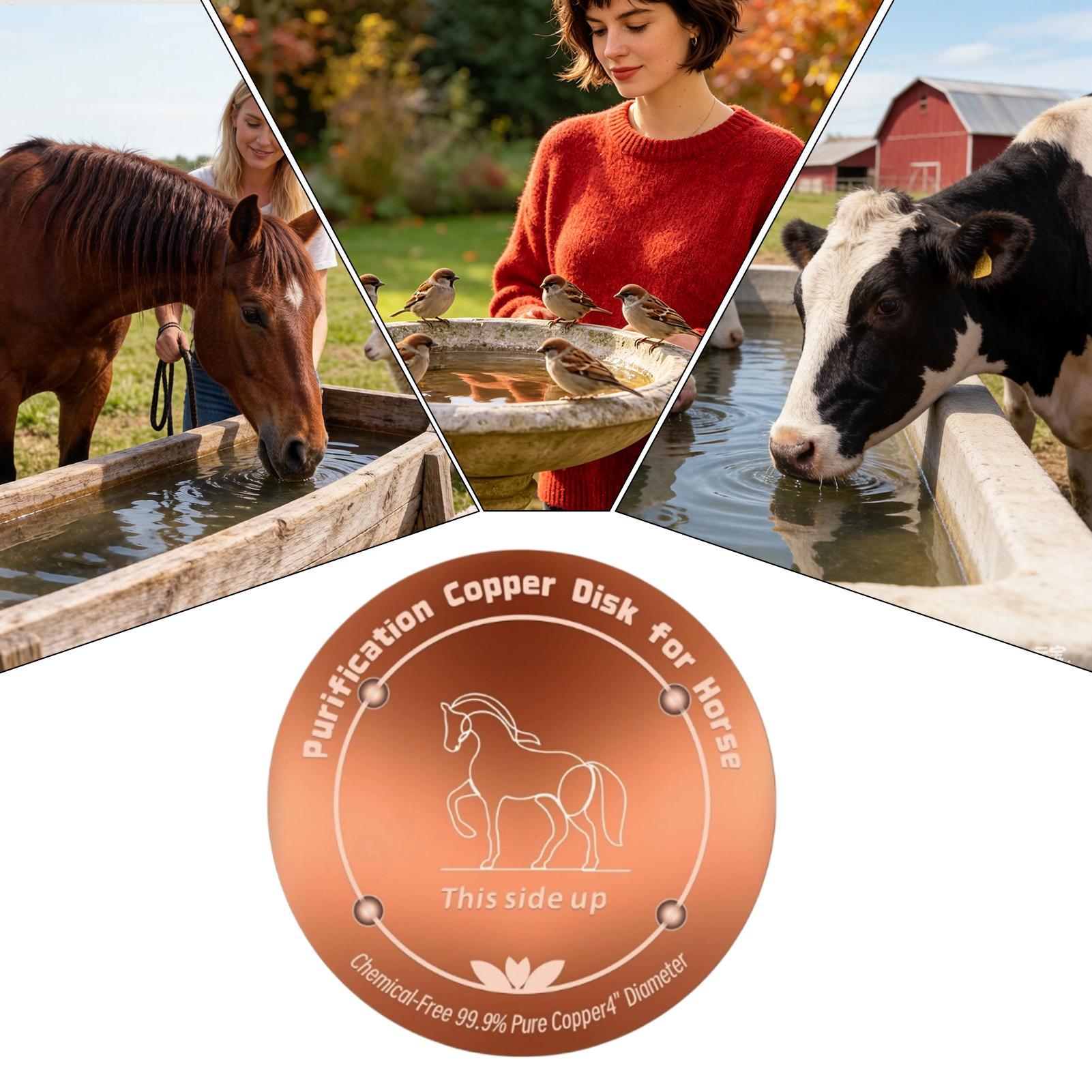 Farming & Agriculture Word Stacks - 4 Inch Copper Purifier Cow Water