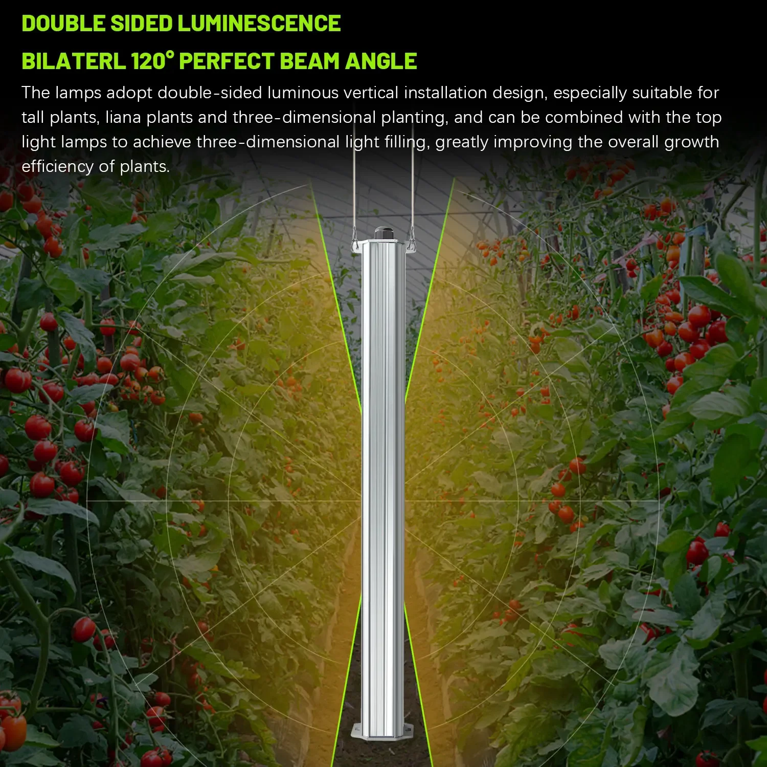 Hydroponic Farming Agriculture - Best ETL Listed Plant Green Wall