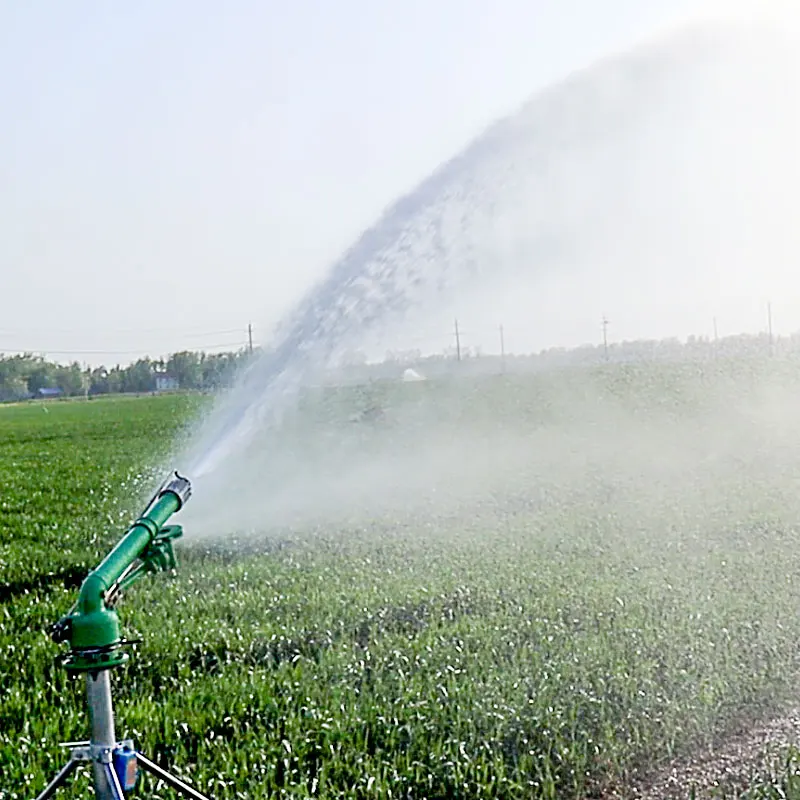 Organic Farming Of Agriculture - Agricultural Maize Farm Sprinkler 360 Rotation