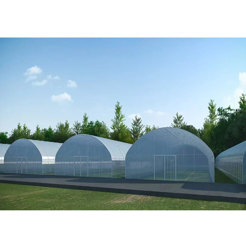 # l Low Cost Farm Singlespan G - Organic Farming Of Agriculture ulasan dan harga