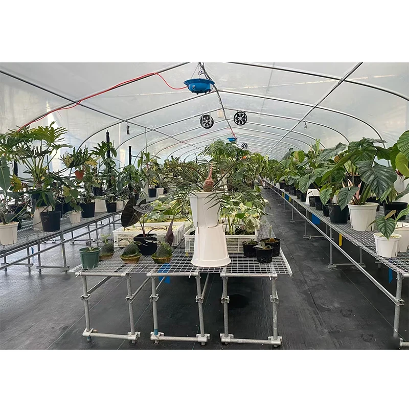 # l Low Cost Farm Singlespan G - Organic Farming Of Agriculture ulasan dan harga