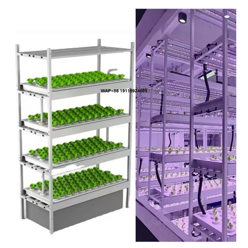 Vertical Farm Hydroponic Tower - Hydroponic Farming Agriculture ulasan dan harga