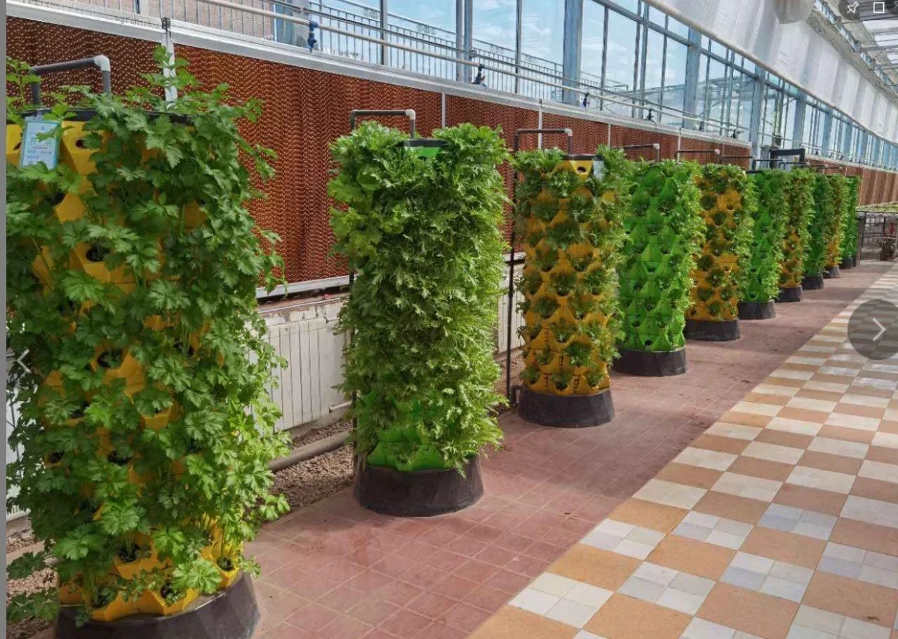 Agricultural greenhouses verti - Hydroponic Farming Agriculture ulasan dan harga