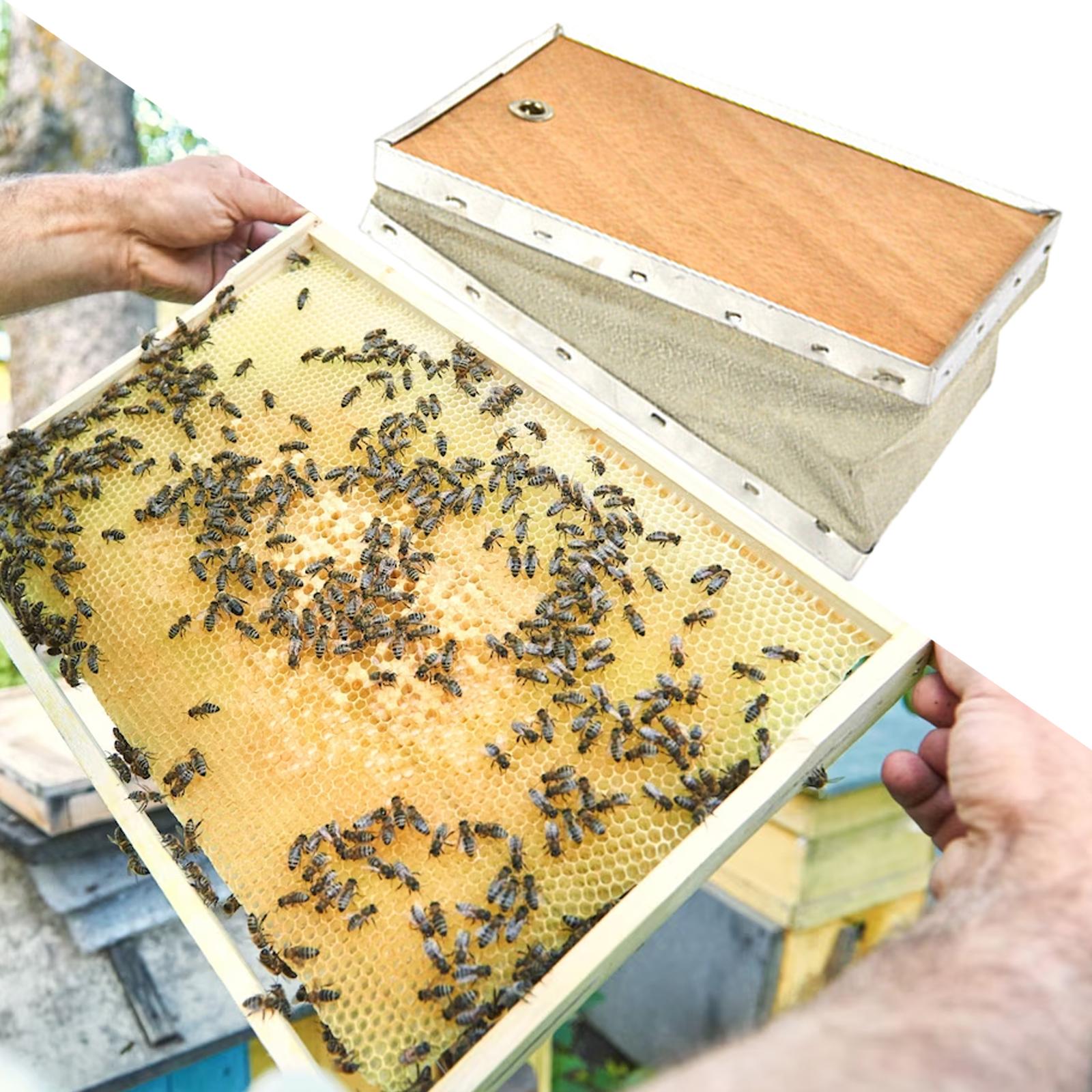 Bee Smoker Bellows Beekeeping  - Bee Smoker Tool ulasan dan harga