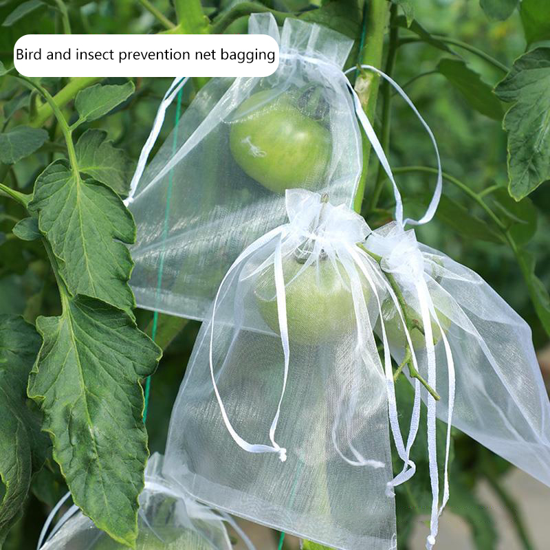 50Pcs Grapes Fruit Protection  - Farming Tools For Agriculture ulasan dan harga