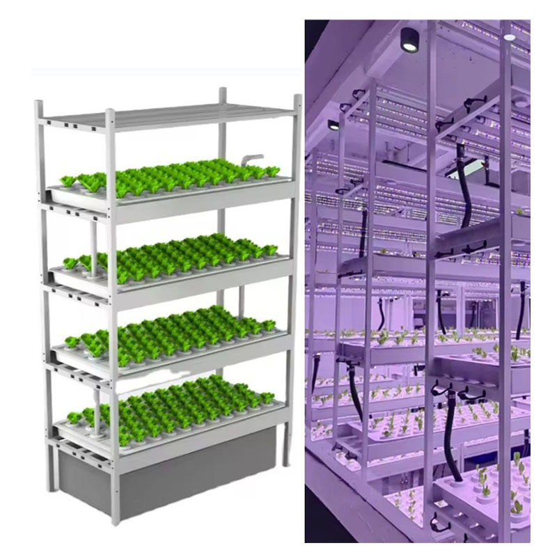 f Greenhouse Agricultural Equi - Hydroponic Farming Agriculture ulasan dan harga