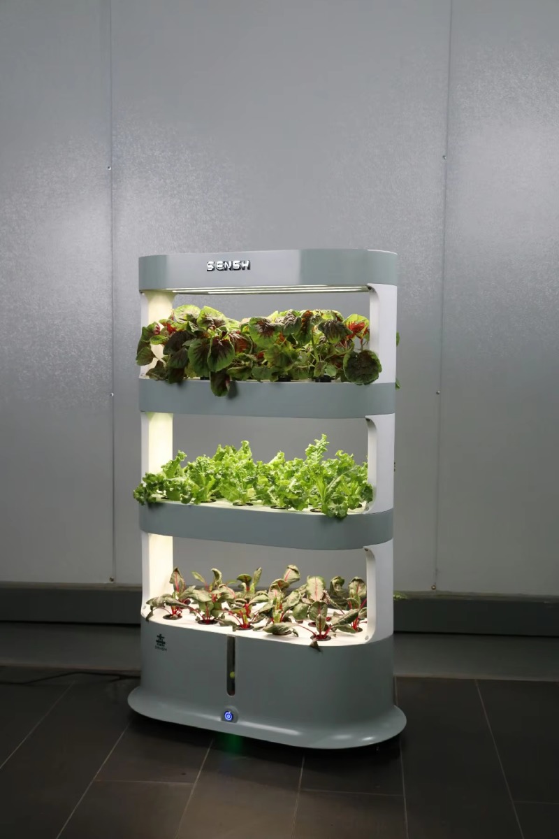 Factory Wholesale Unique Farm  - Hydroponic Farming Agriculture ulasan dan harga