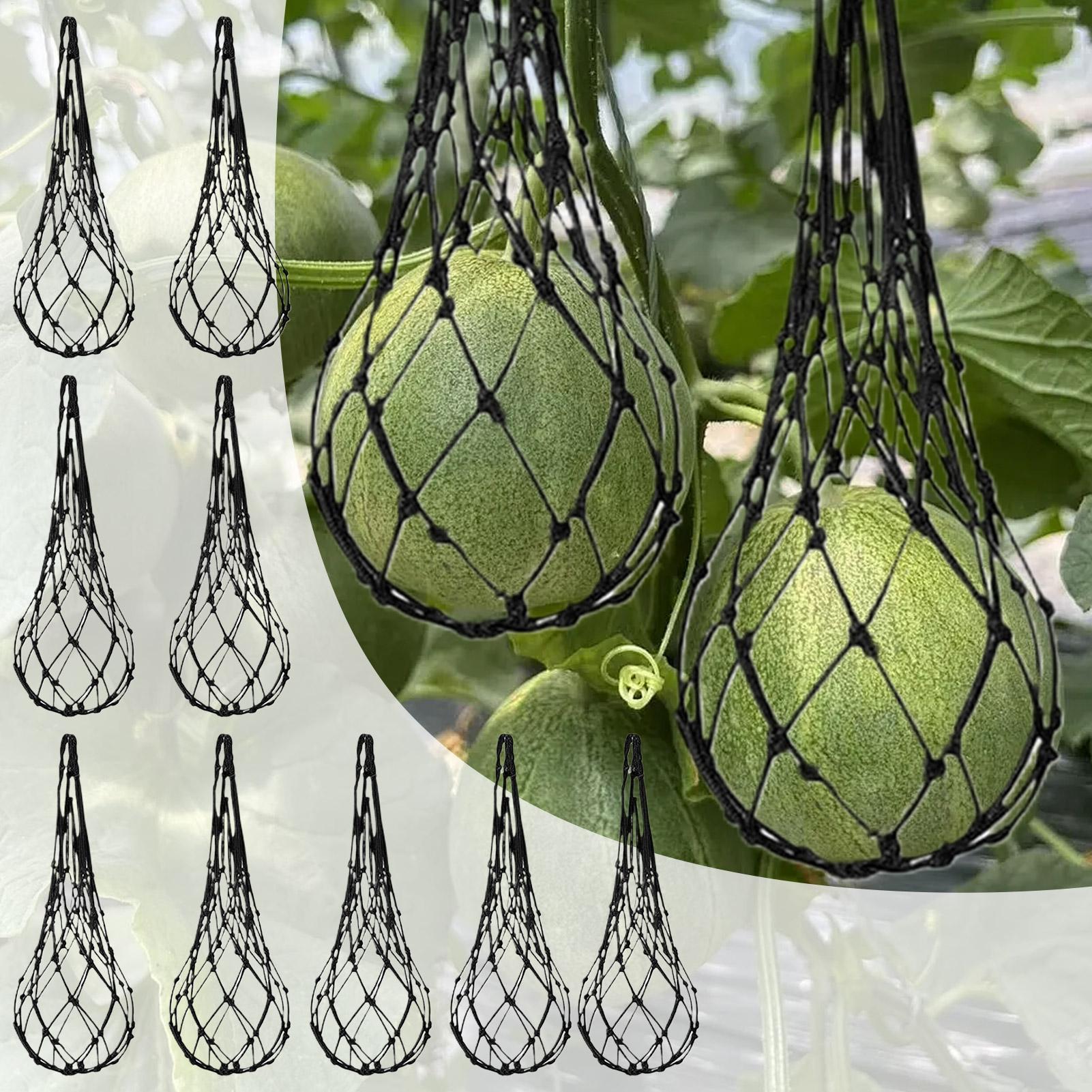 10pcs Watermelon Nets Garden V - Agriculture Vertical Farming ulasan dan harga