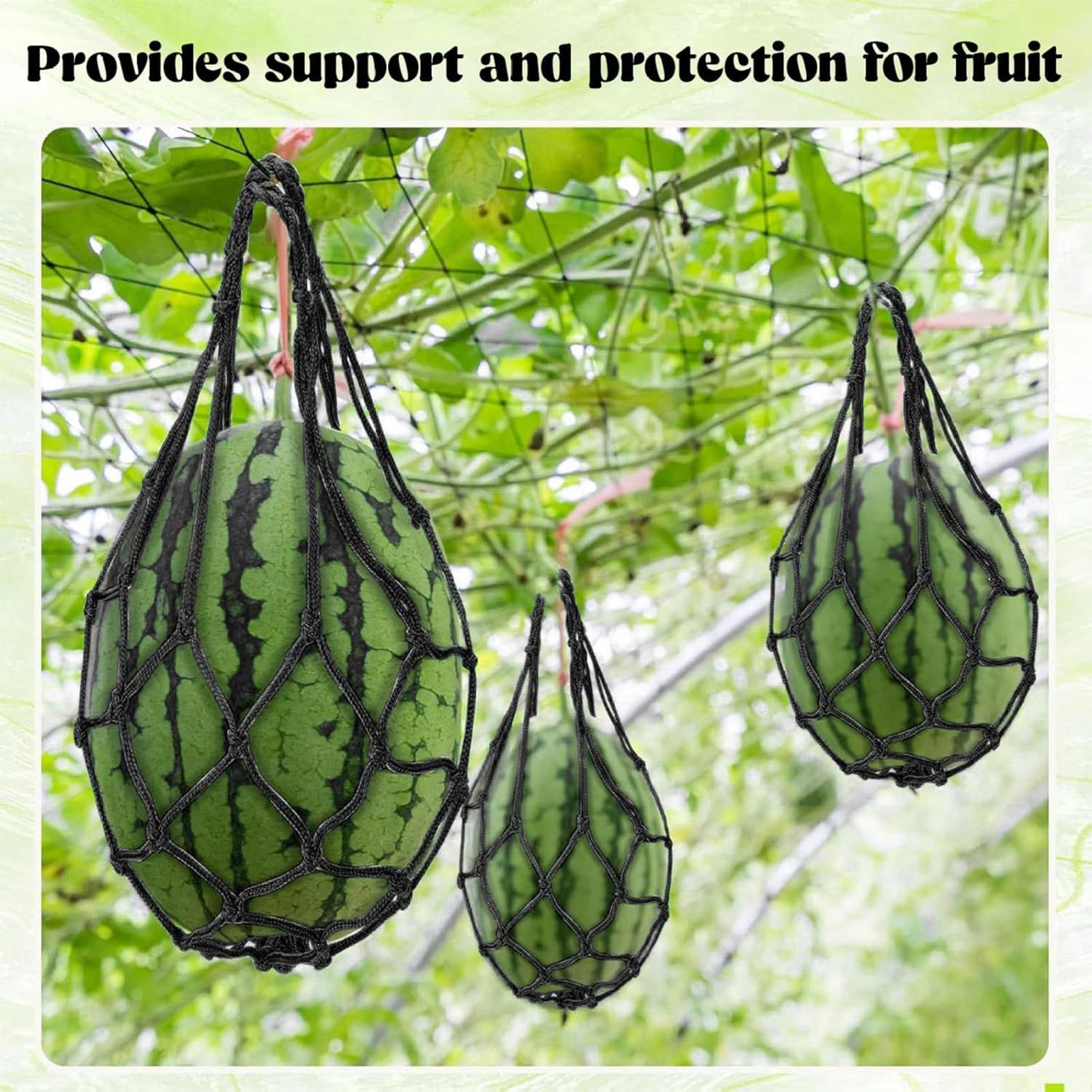 10pcs Watermelon Nets Garden V - Agriculture Vertical Farming ulasan dan harga