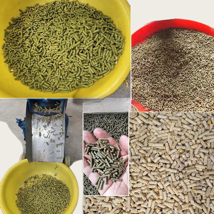 Pelletizer Machine for Animal  - Wood Pellet Making Machine ulasan dan harga