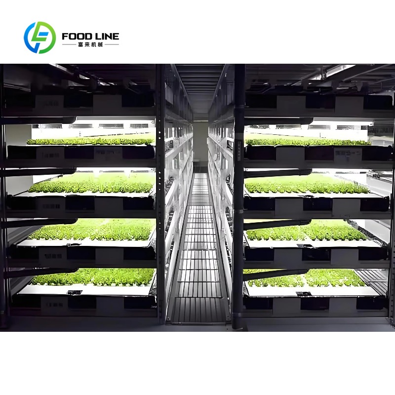 Customized Smart Farm Vertical - Hydroponic Farming Agriculture ulasan dan harga