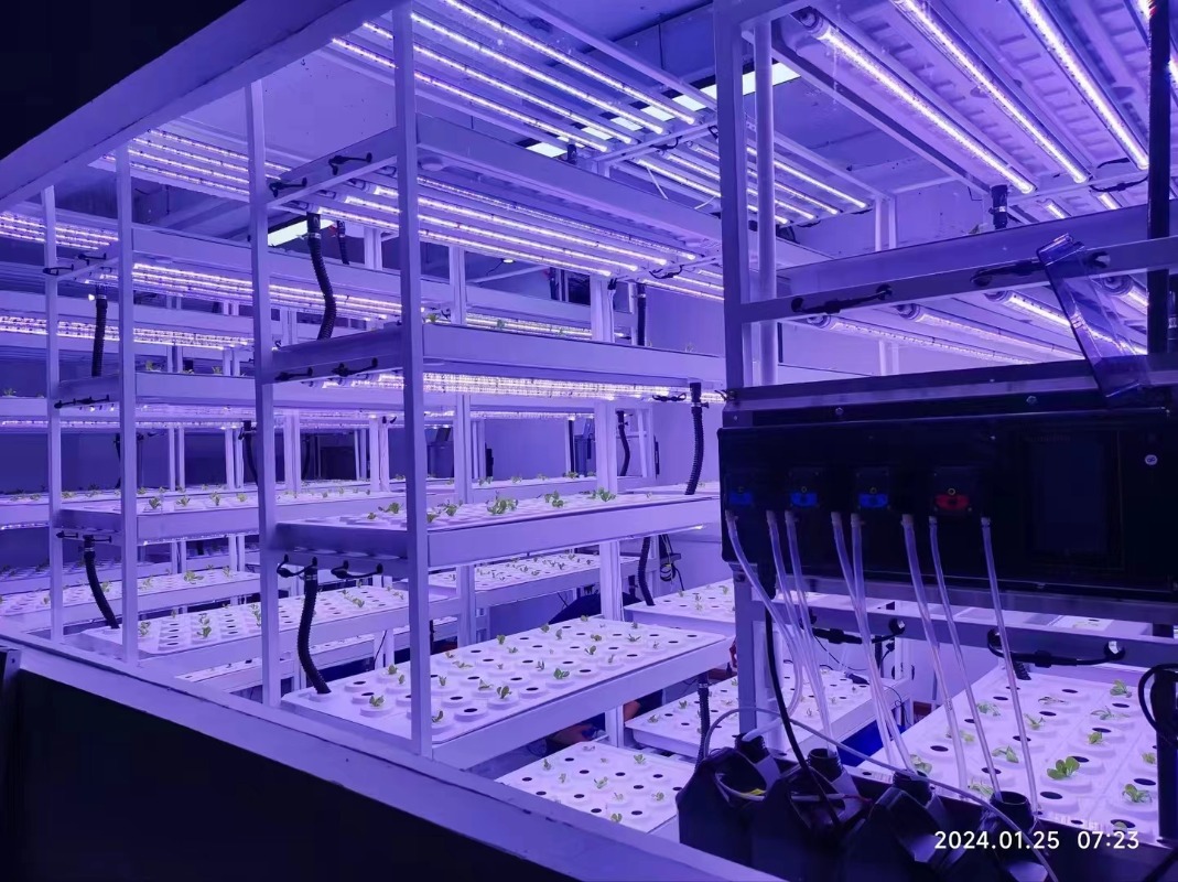 Small Vertical Hydroponic Towe - Hydroponic Farming Agriculture ulasan dan harga