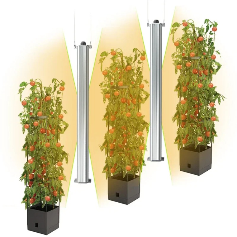 Best ETL Listed Plant Green Wa - Hydroponic Farming Agriculture ulasan dan harga