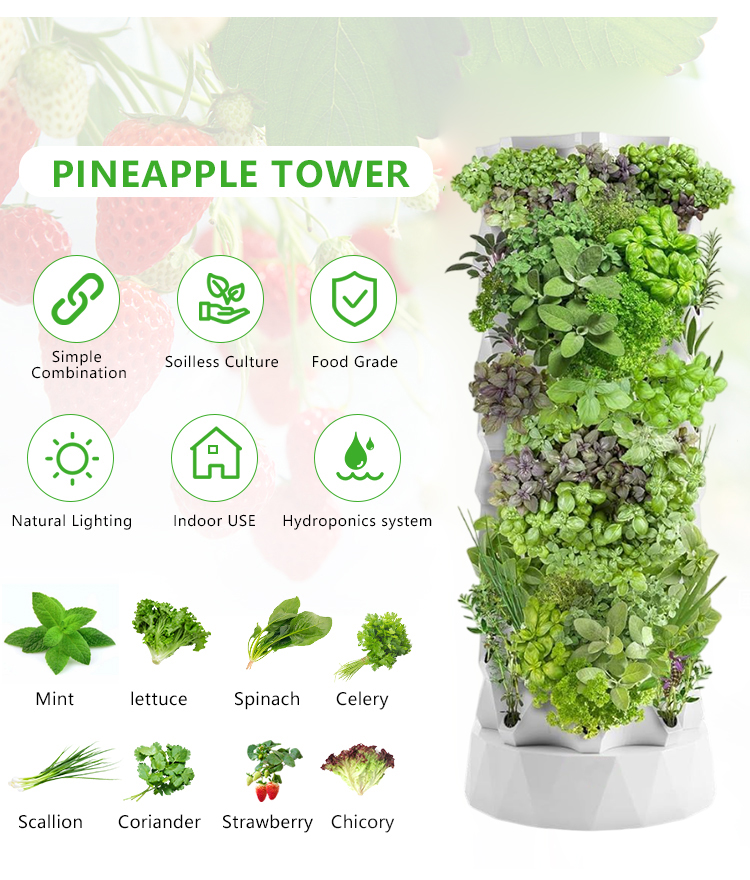 Upgraded Indoor Farming Outdoo - Hydroponic Farming Agriculture ulasan dan harga