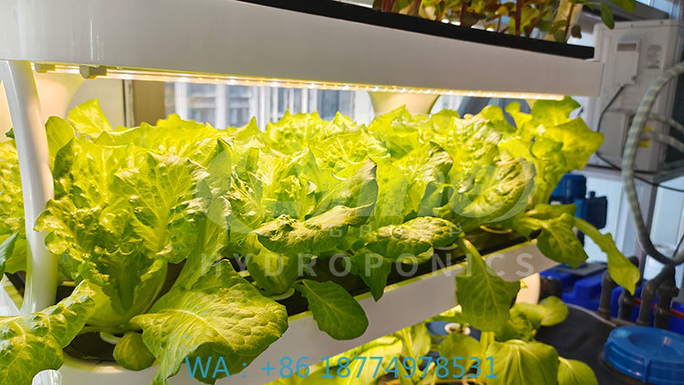 c Agriculture Machine to Growi - Agriculture Farming Equipments ulasan dan harga