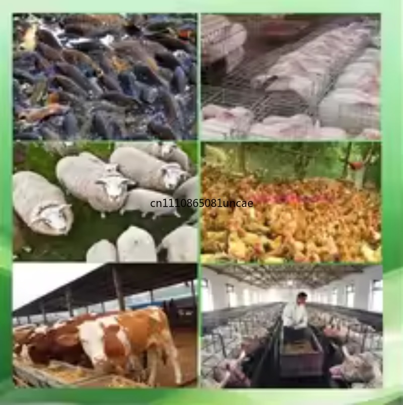 100kg/h-120kg/h Multi-function - Wood Pellet Making Machine ulasan dan harga