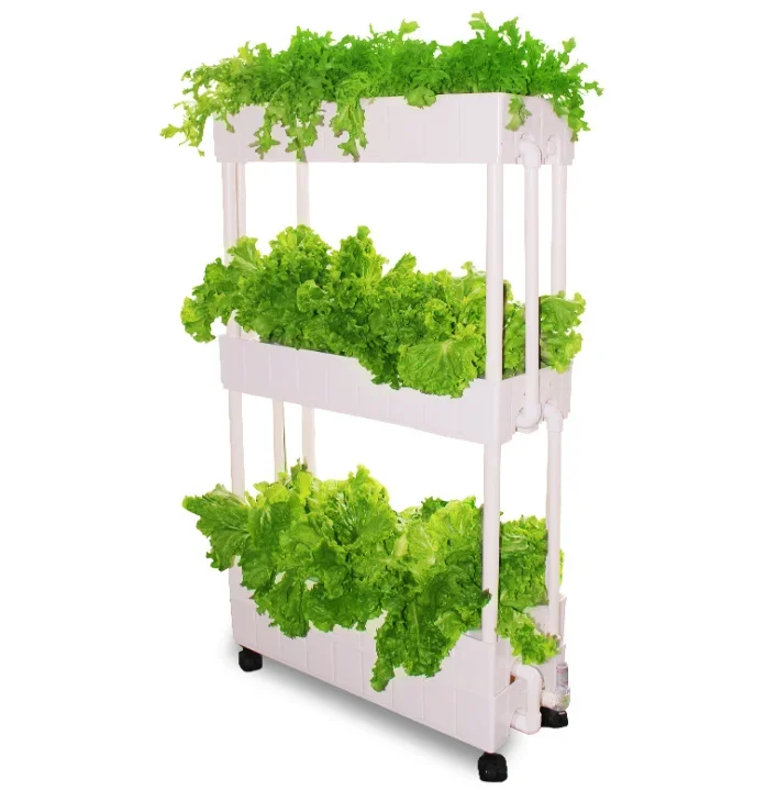 Customization Agriculture hydr - Hydroponic Farming Agriculture ulasan dan harga