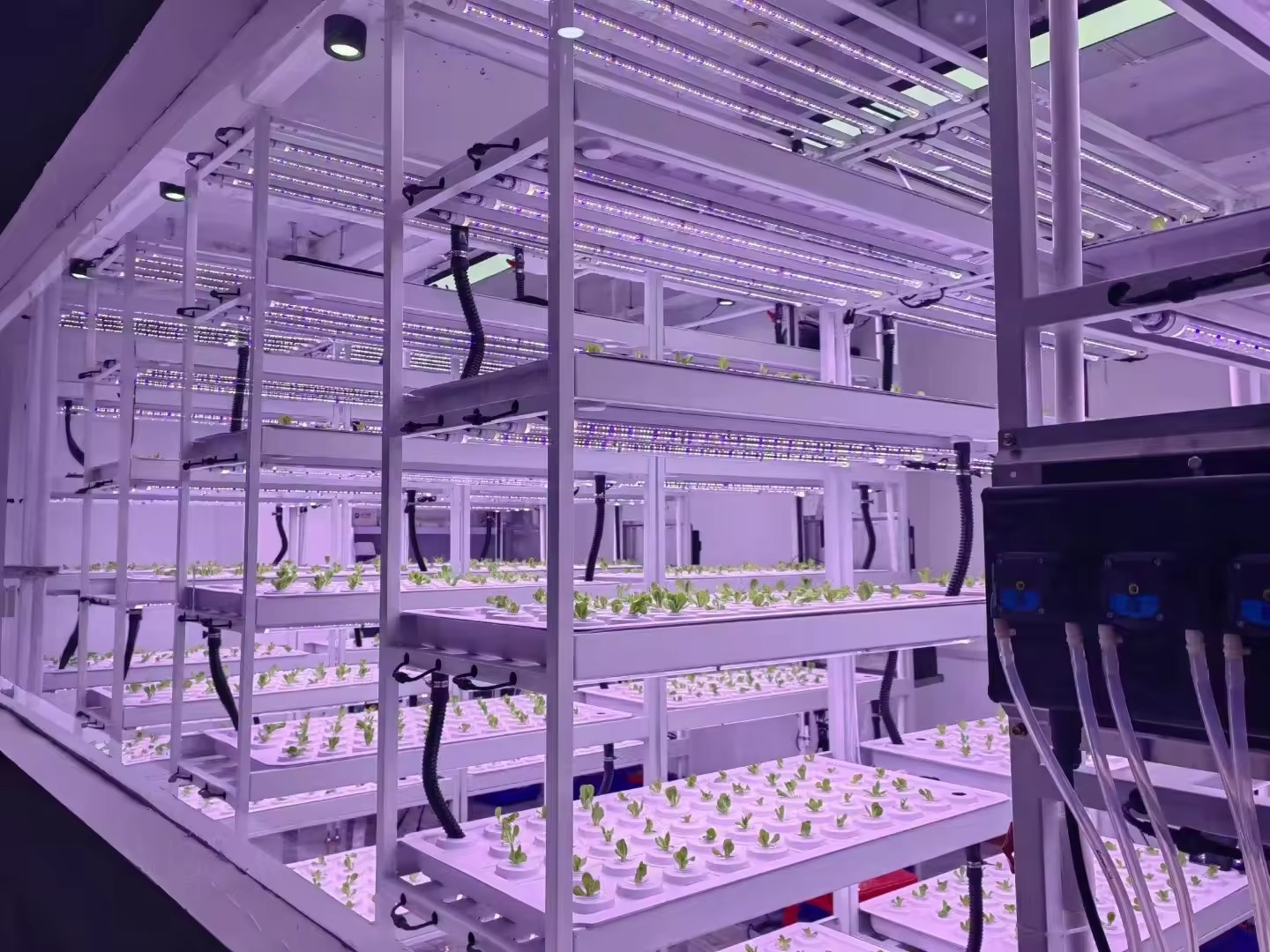 Vertical Farm Hydroponic Tower - Hydroponic Farming Agriculture ulasan dan harga