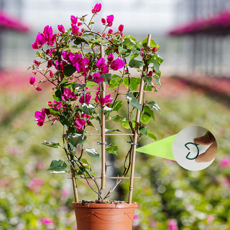 50/100pcs Garden Plant Clips V - Agriculture Vertical Farming ulasan dan harga